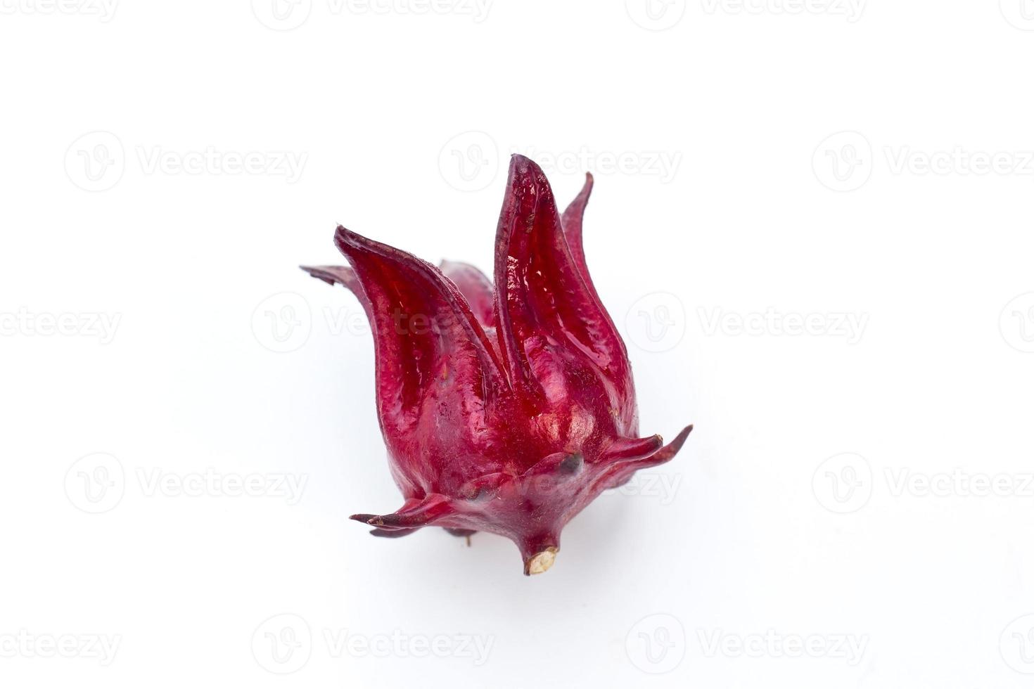 raselle vermelho é uma erva tailandesa e usada como corante natural foto