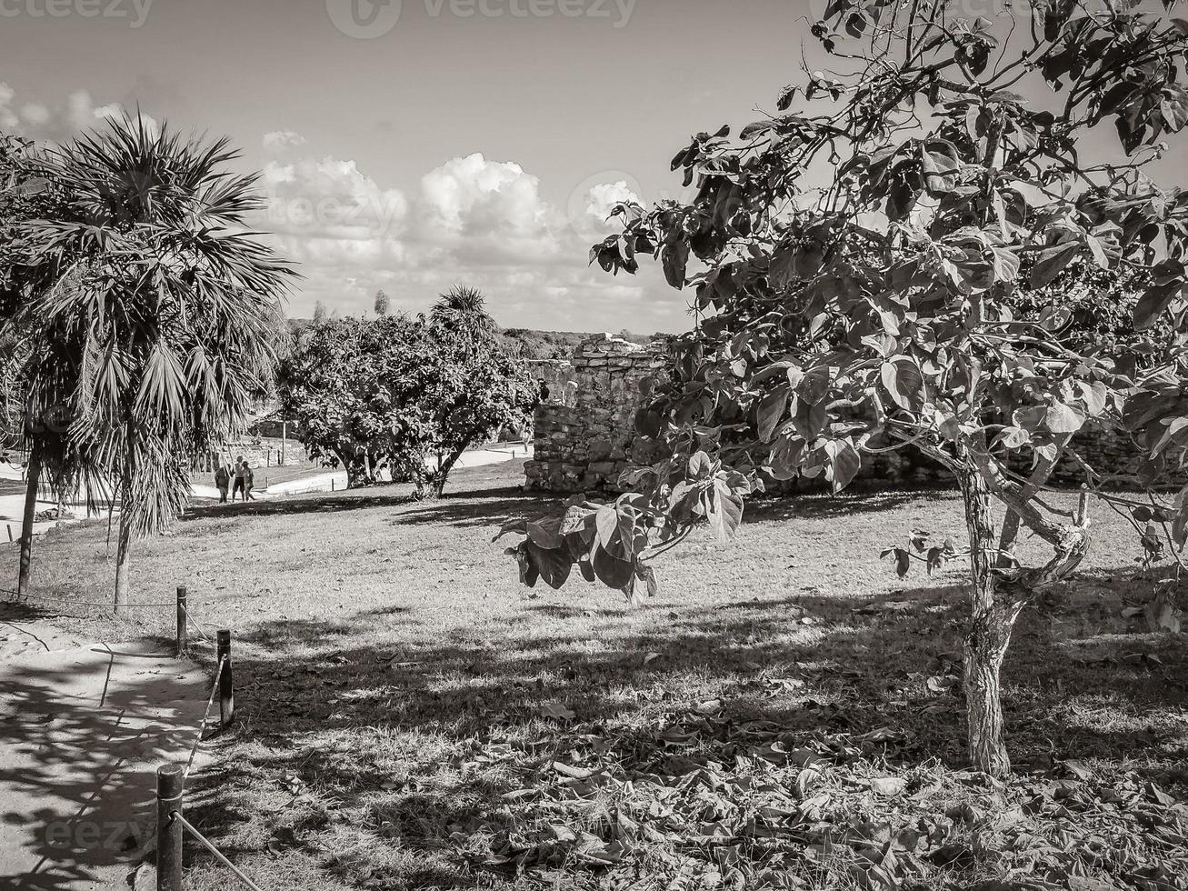 antigo tulum ruínas local maia templo pirâmides artefatos marinha méxico. foto