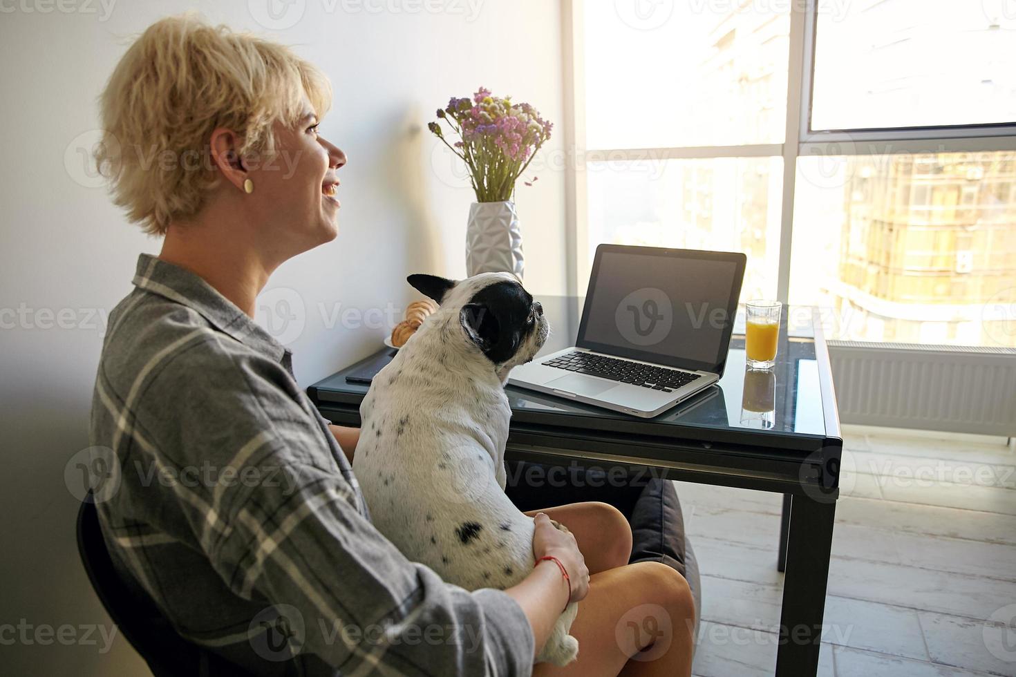 jovem freelancer trabalhando distante de casa usando computador portátil, sentado à mesa ao lado da janela e segurando seu cachorro, estando de bom humor foto