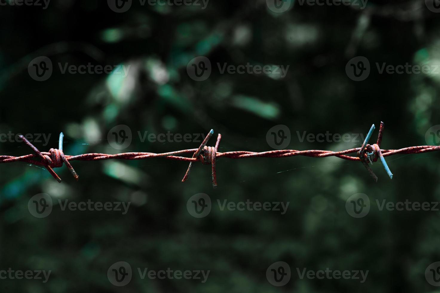 close-up de uma cerca de arame farpado em uma área restrita. foto