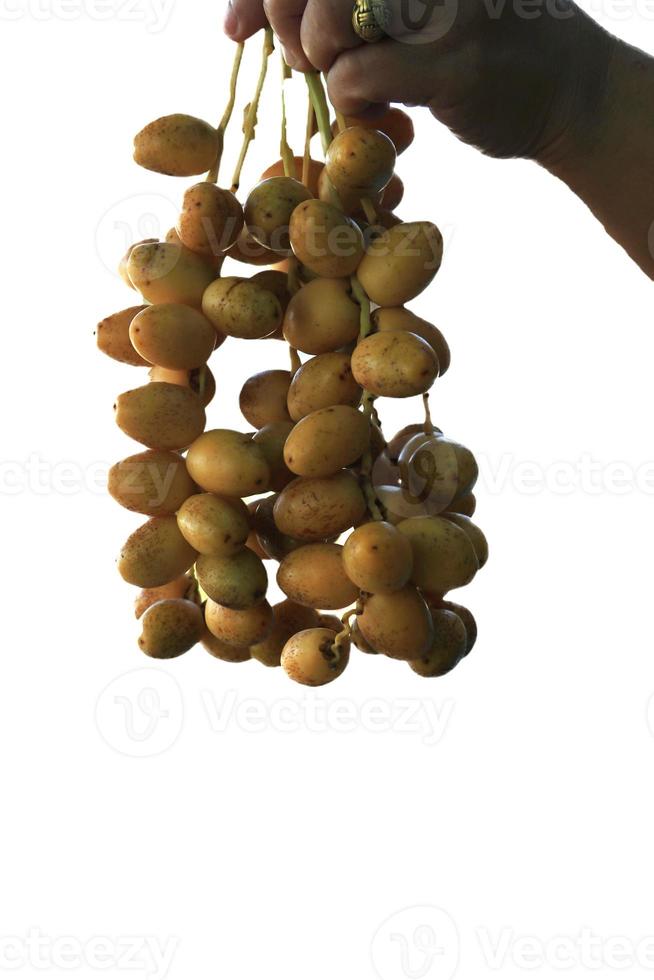 tâmaras amarelas maduras são plantadas organicamente, doces e deliciosas e frescas em uma cesta de tecido em um fundo branco com as mãos de uma mulher segurando-as - em um fundo branco. foto