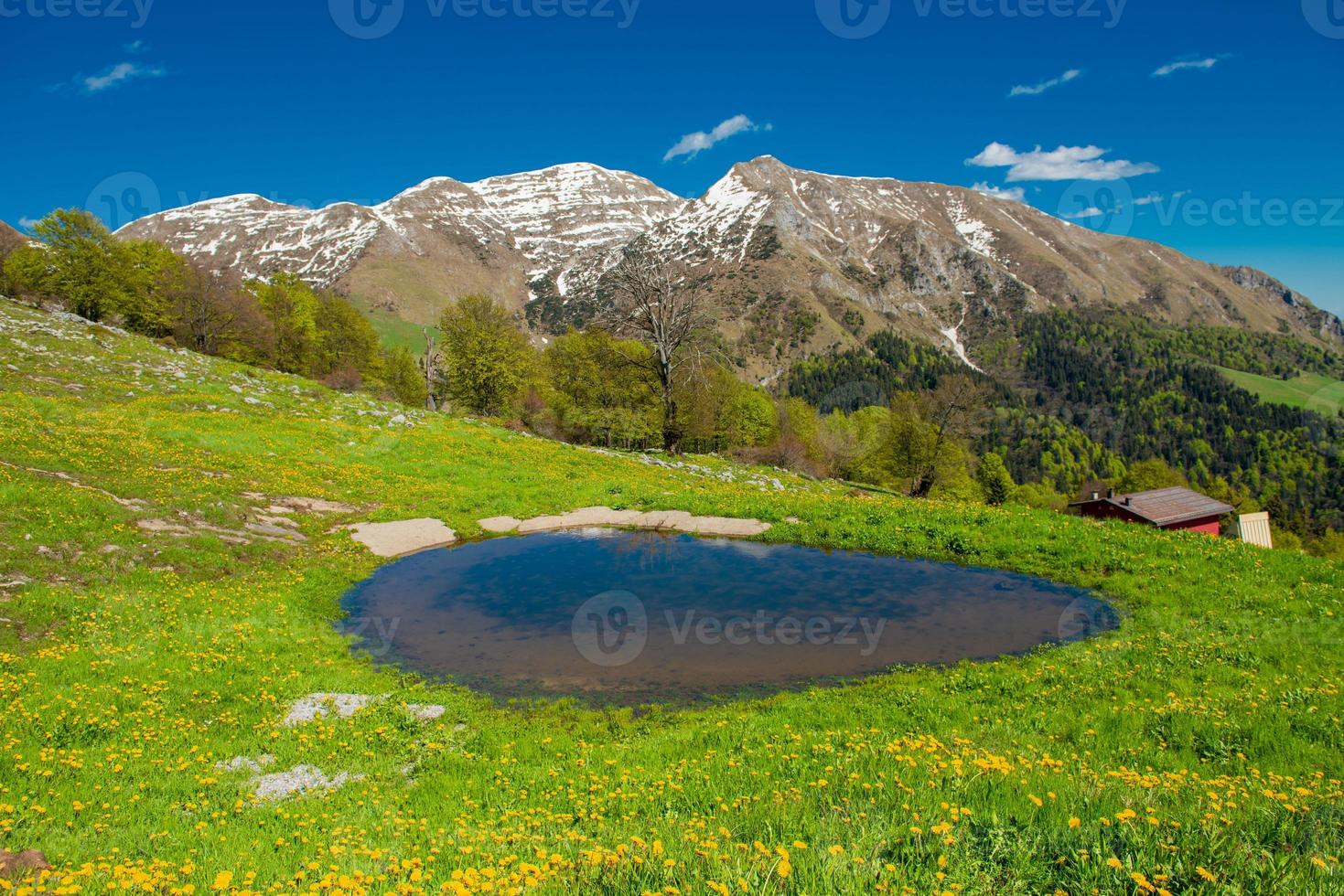 lago de montanha cercado por florescimento foto