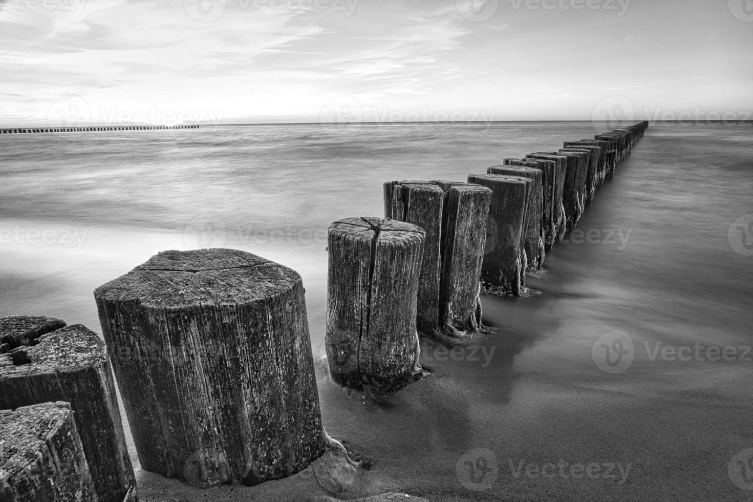 groynes no mar báltico em preto e branco com muita estrutura foto