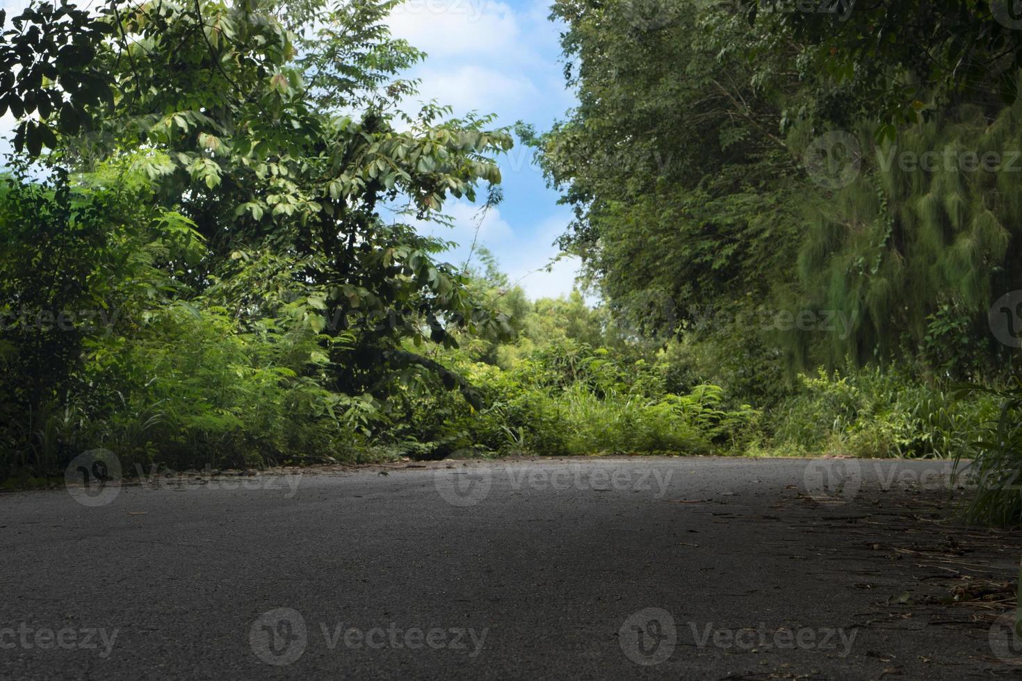 caminhos curvos da estrada de asfalto. cercado por árvores frondosas e grama verde. sob o céu azul e nuvens brancas em dias. foto