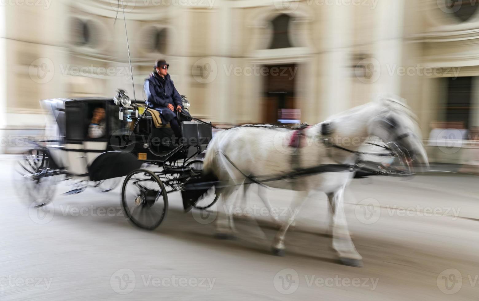 treinador no palácio de hofburg foto