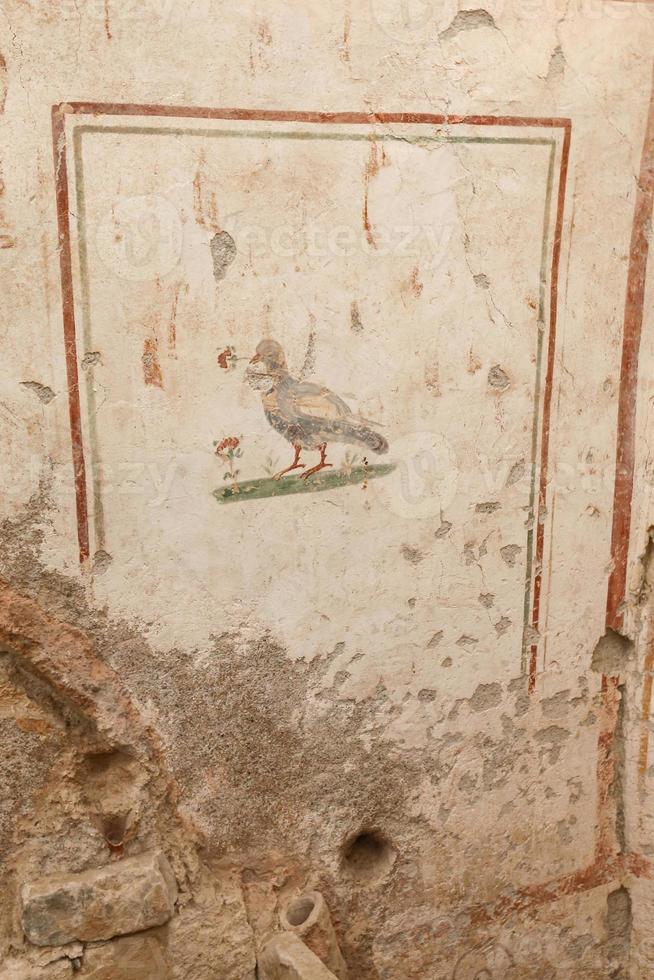 casas de terraço na cidade antiga de éfeso, izmir, turquia foto