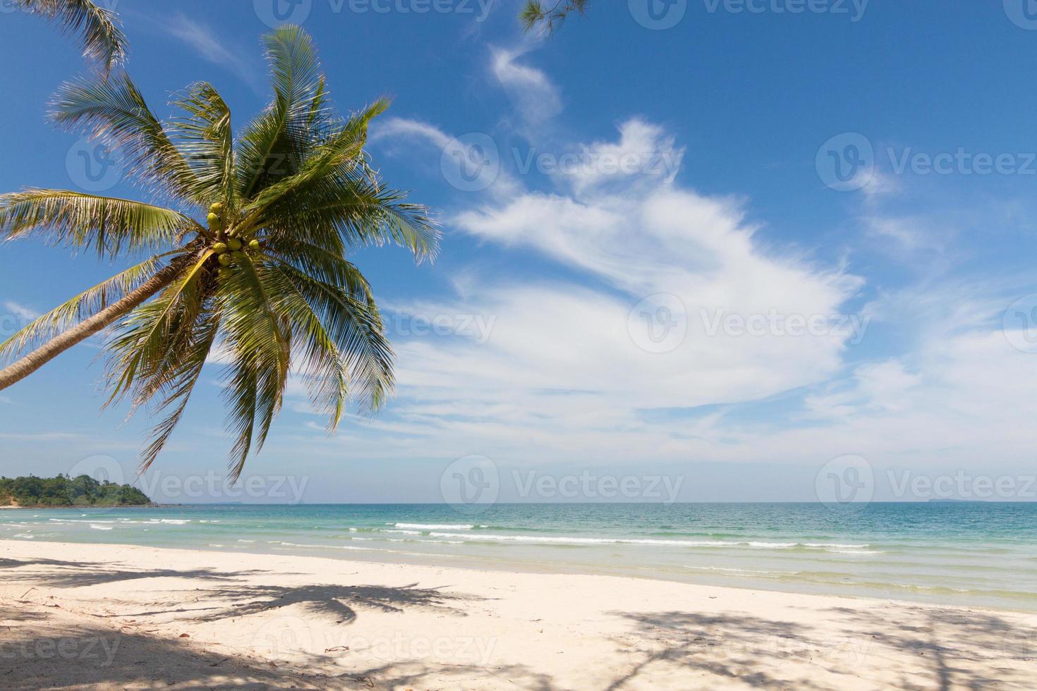 belas paisagens naturais com praia, coqueiros e céu azul foto