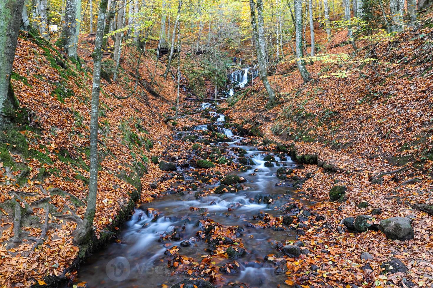 cachoeira no parque nacional yedigoller, bolu, turquia foto