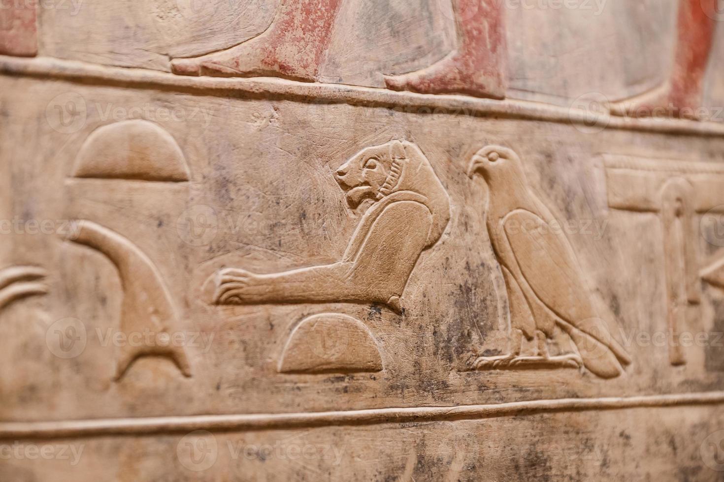 cenas na necrópole de saqqara, cairo, egito foto