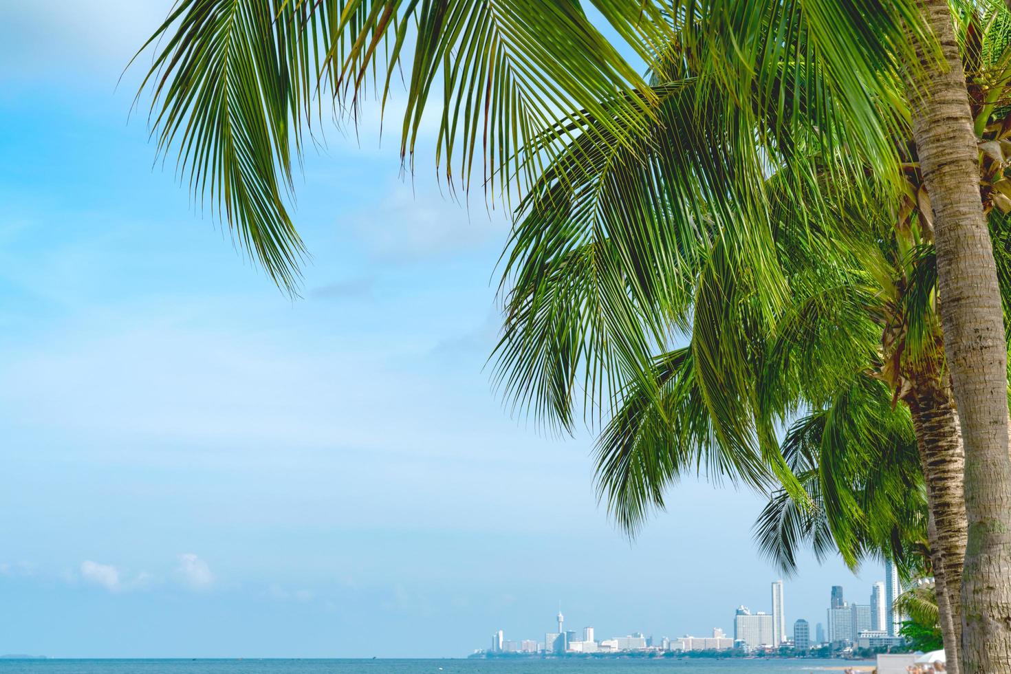 mar de verão com folhas de palmeira ao pôr do sol e espaço de cópia, conceito de relaxamento do céu, belo fundo tropical para paisagem de viagens foto