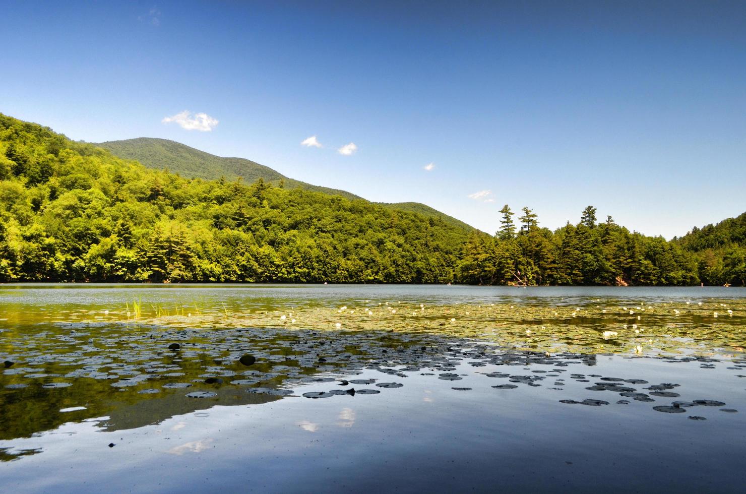 Emerland Lake State Park, Dorset, Vermont foto