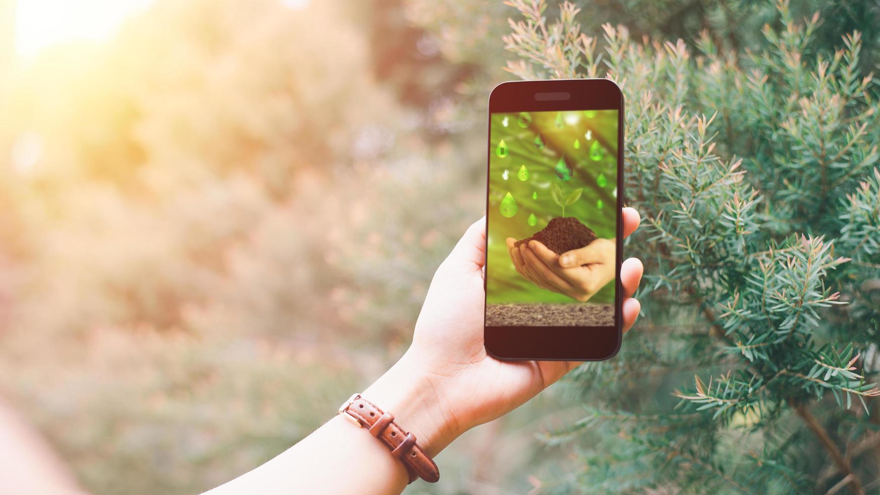 ajudando a plantar árvores para reduzir o aquecimento global foto