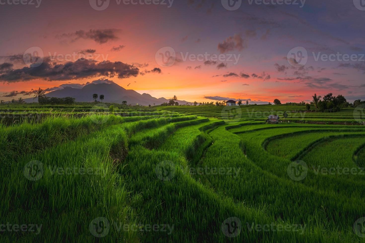 retrato da natureza de campos de arroz e montanhas na indonésia rural com nascer do sol foto