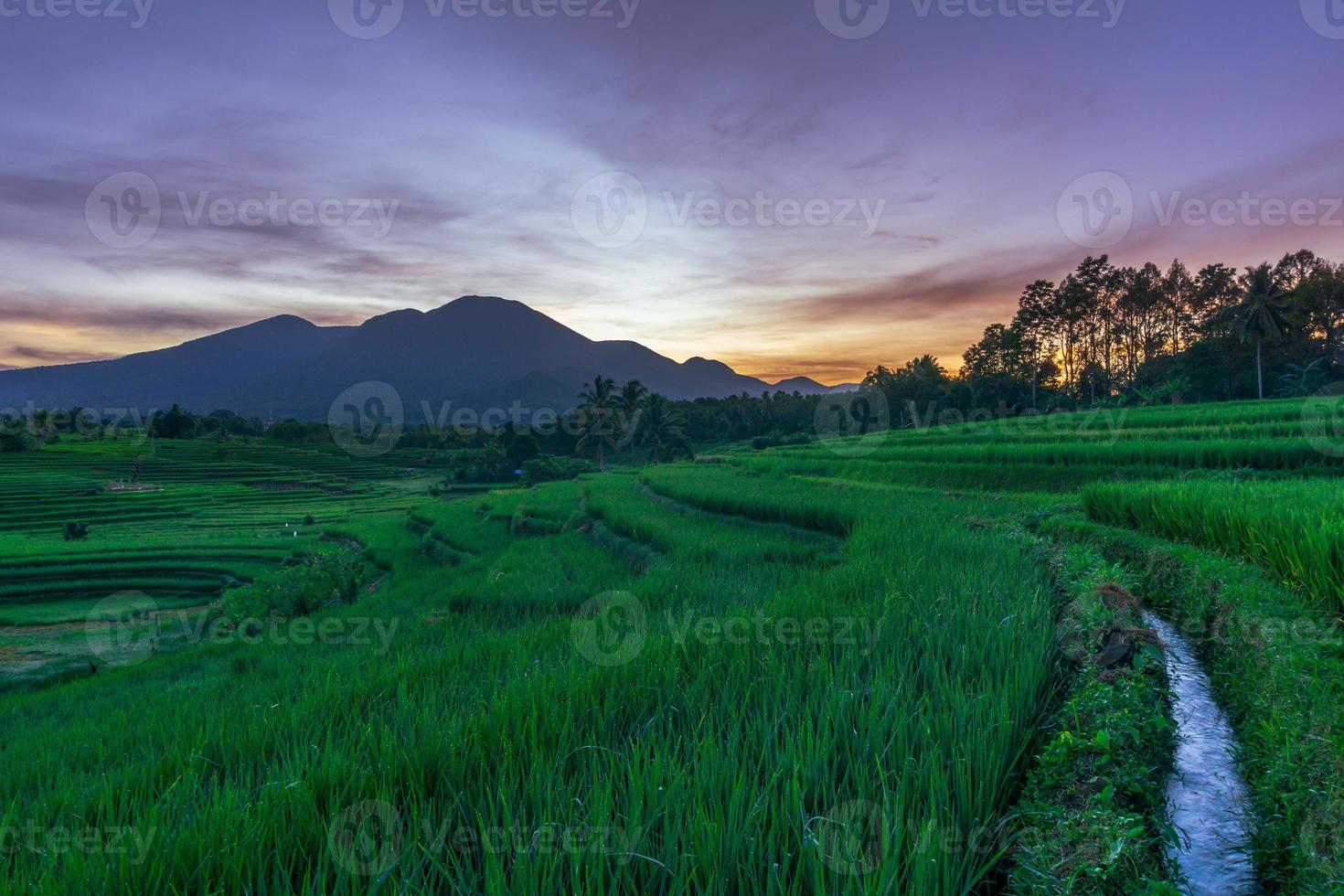 extraordinária paisagem natural da Indonésia. vista da manhã com o nascer do sol nos campos de arroz. fluxo do campo de arroz foto