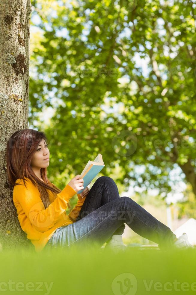 livro de leitura faculdade feminina contra tronco de árvore no parque foto