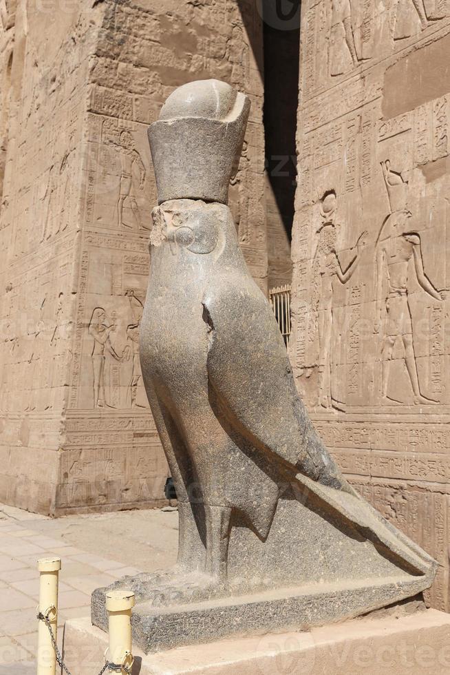 estátua de horus no templo de edfu, edfu, egito foto