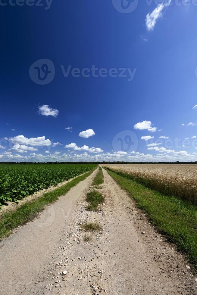 estrada rural, campo foto