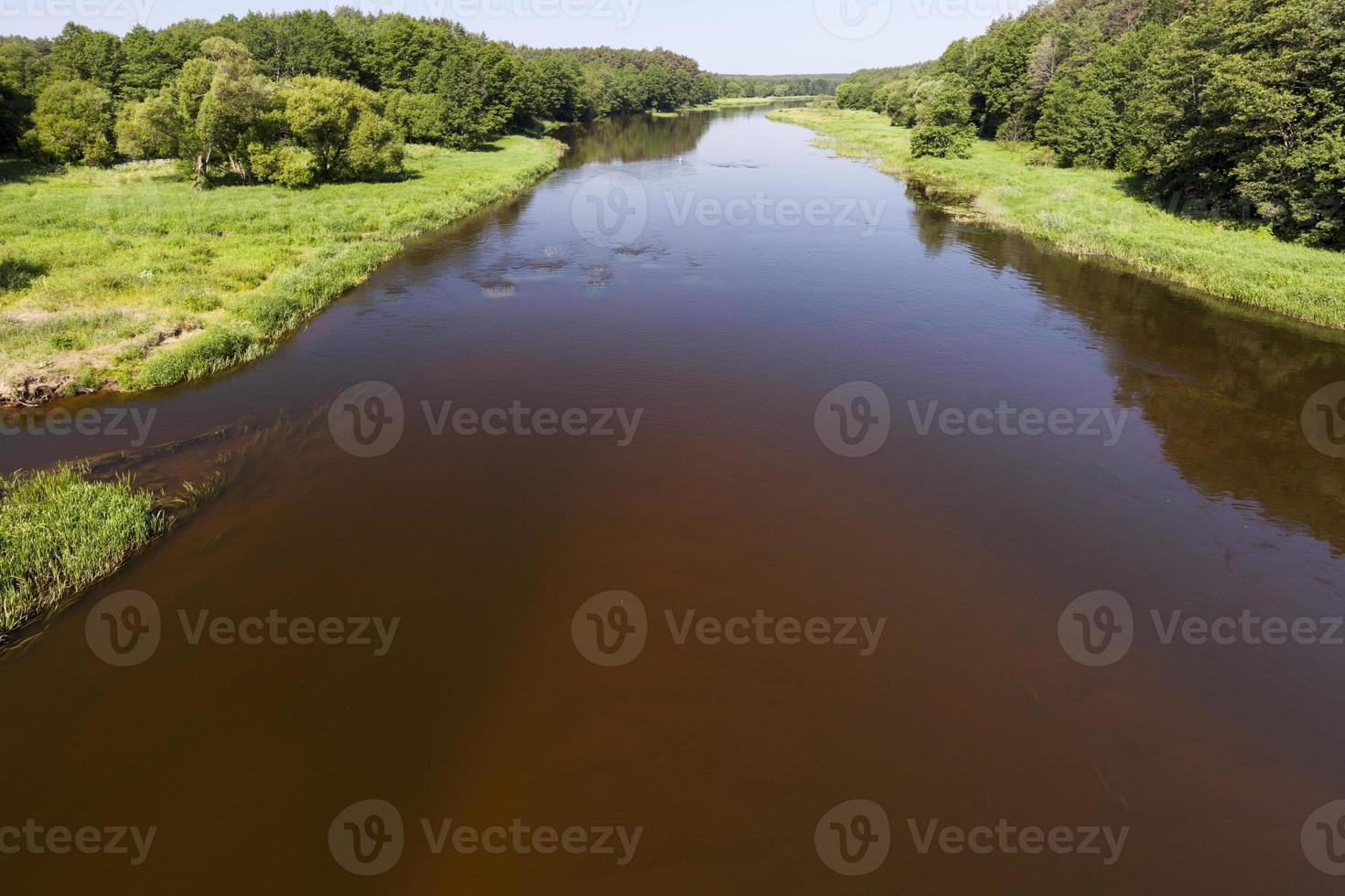 uma paisagem de verão com rio foto