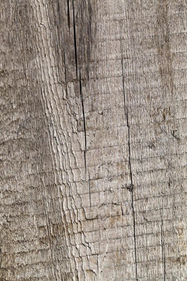 superfície de madeira velha foto
