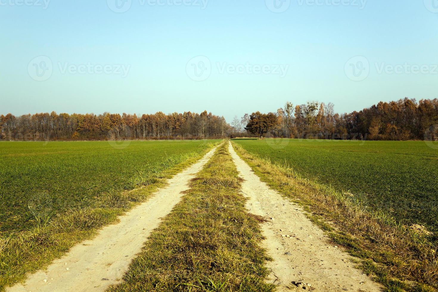 estrada de terra rural. foto