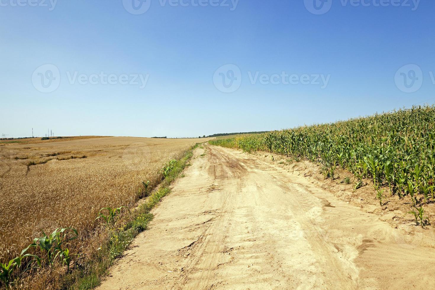 estrada de areia rural foto