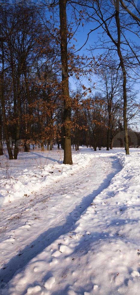 a estrada de inverno - a estrada em uma temporada de inverno. a estrada está coberta de neve foto