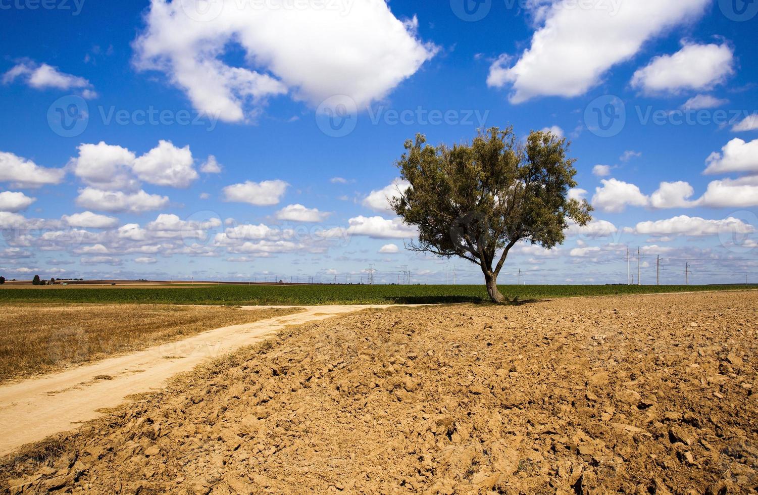 a estrada rural foto