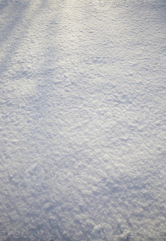 neve fresca, close-up foto