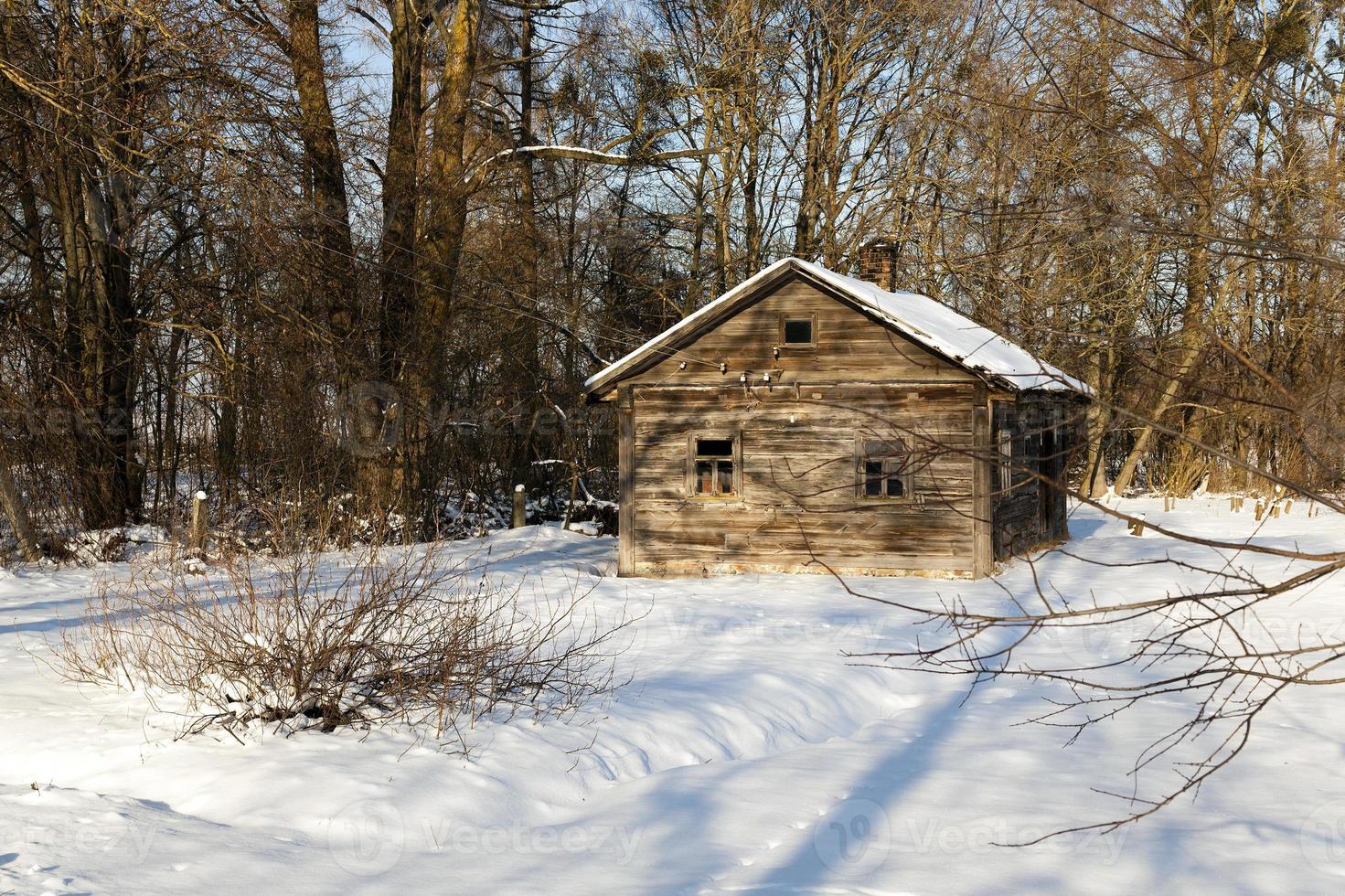 casa de madeira, inverno foto