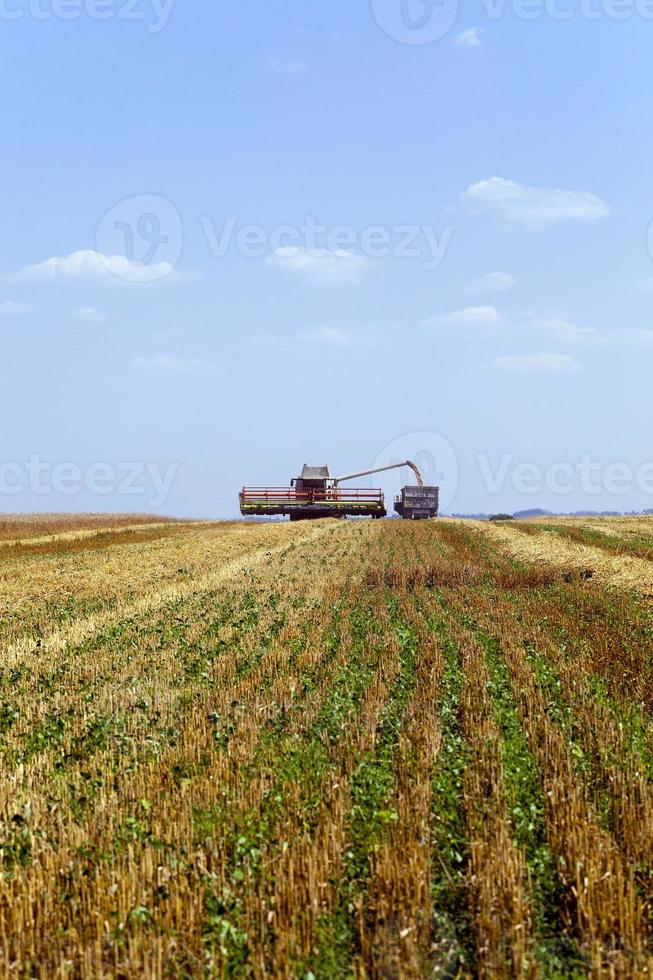 colheitadeira no campo foto