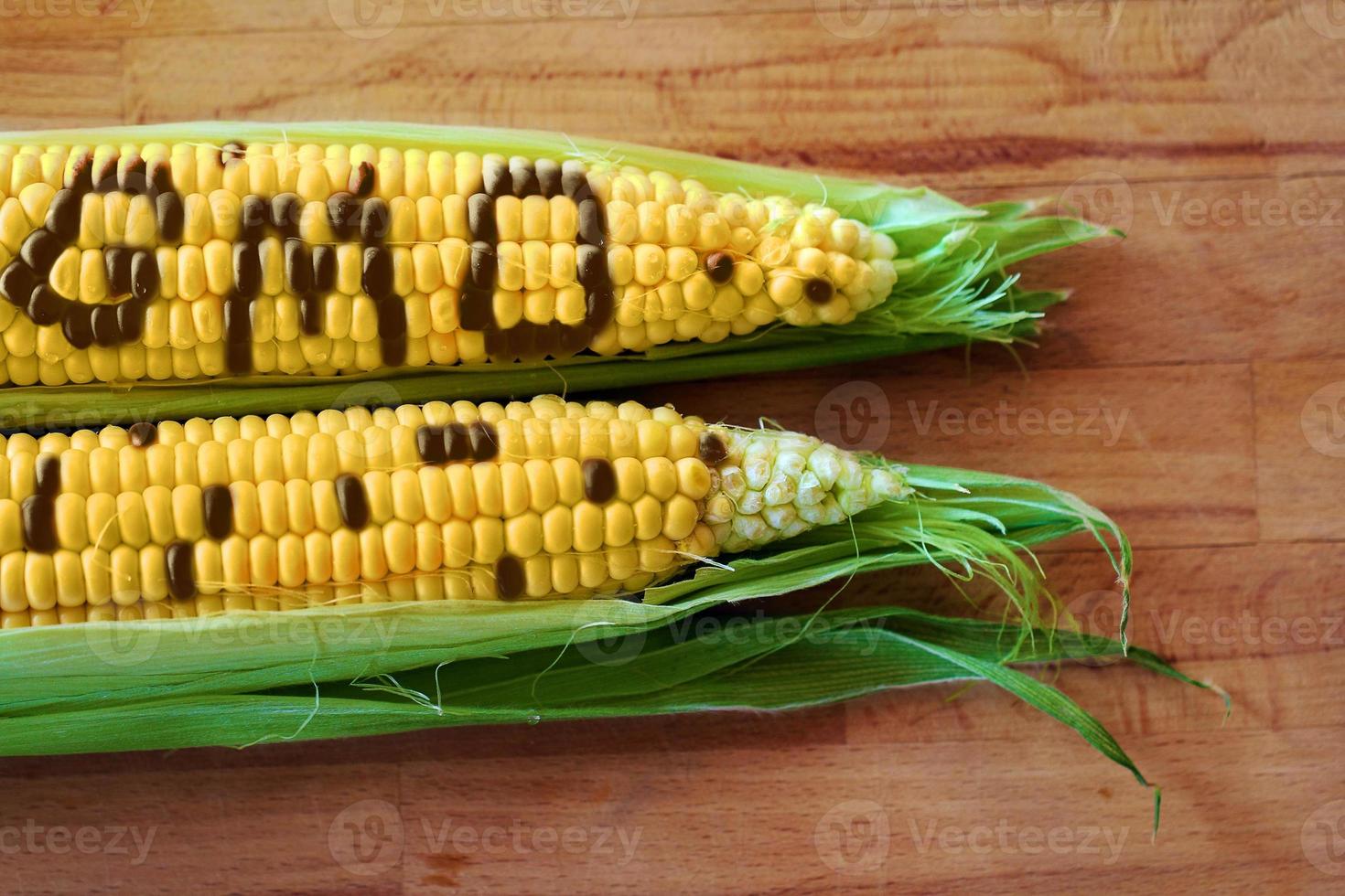 conceito de OGM foto