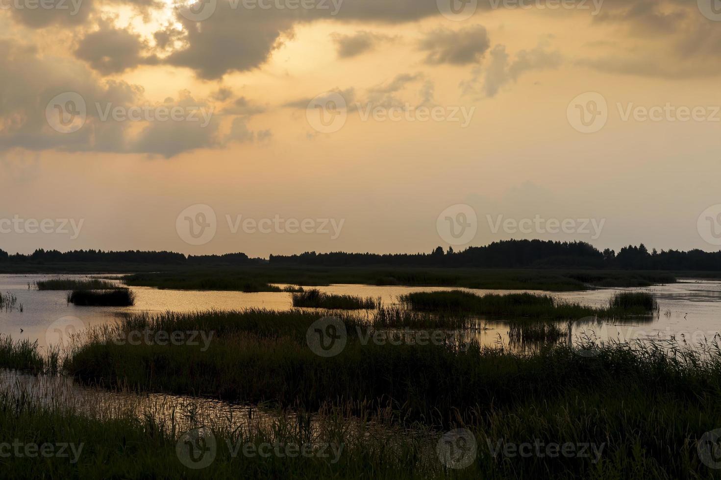 lago com plantas durante o pôr do sol, reflexo no lago foto