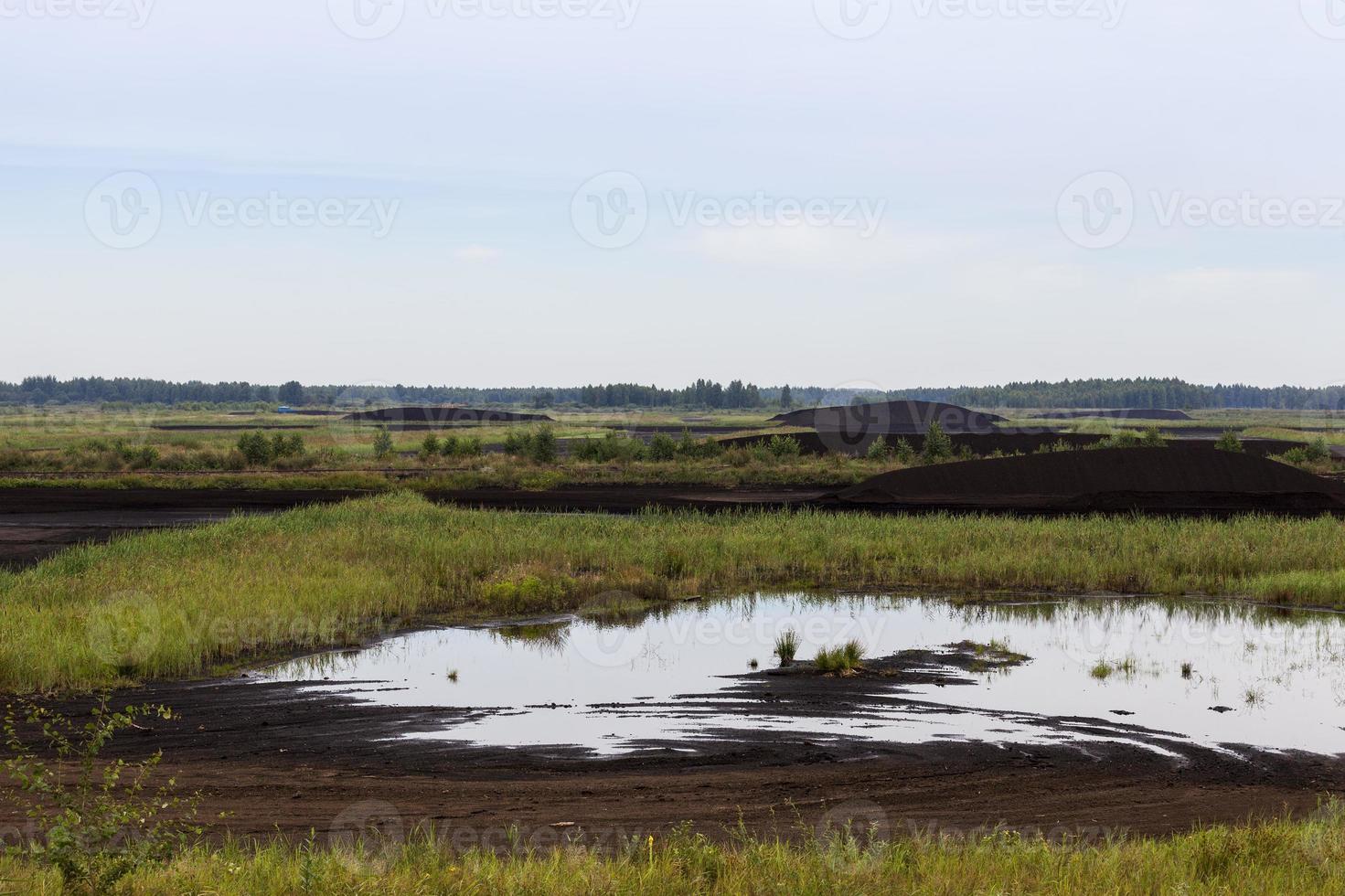 a área inundada onde a turfa é extraída foto