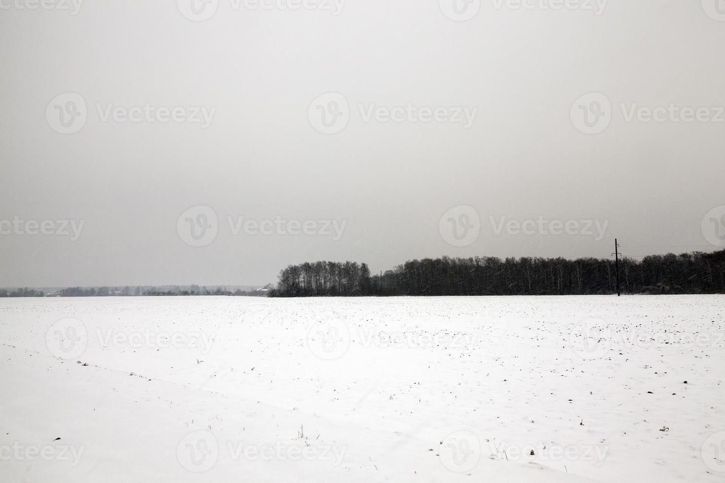 paisagem de inverno, queda de neve foto