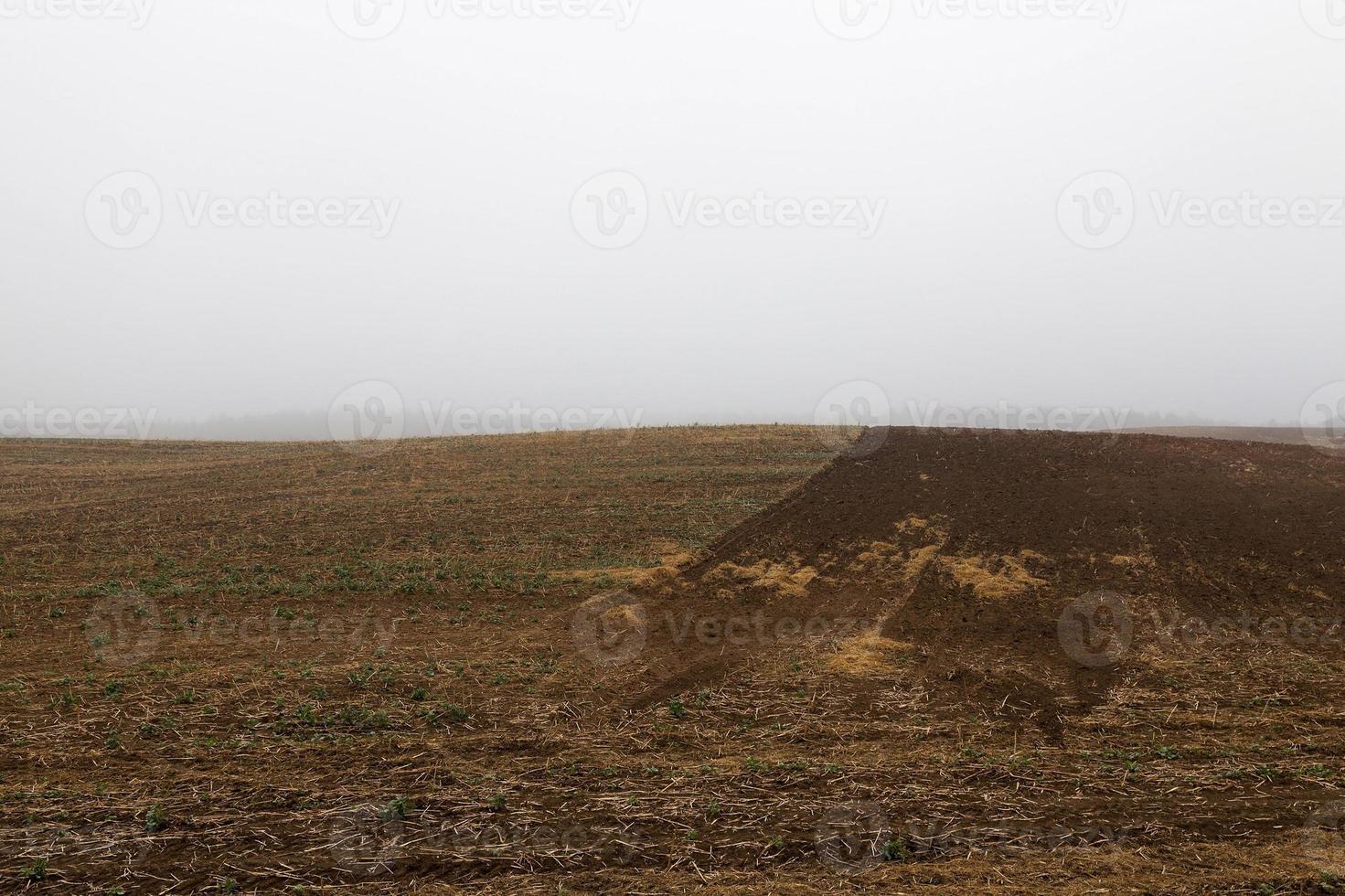 arado para semear a terra foto