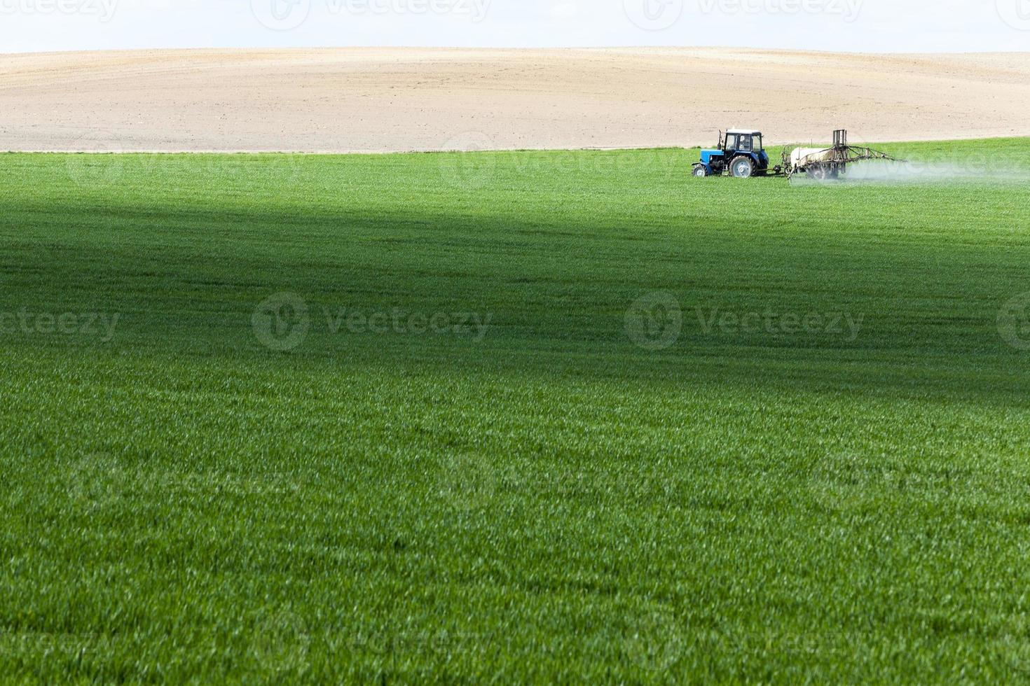 trator no campo foto