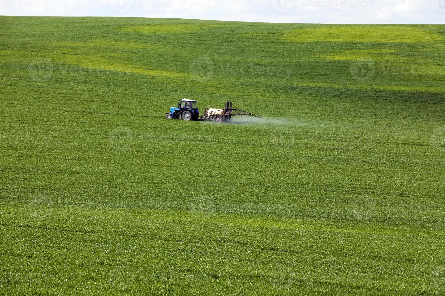 trator no campo foto