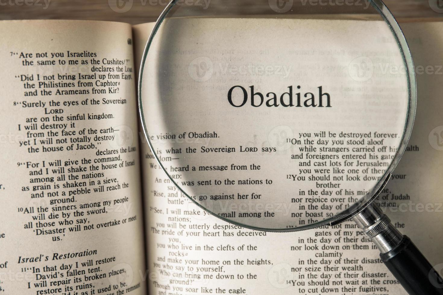 o livro de Obadias lendo a nova versão internacional foto