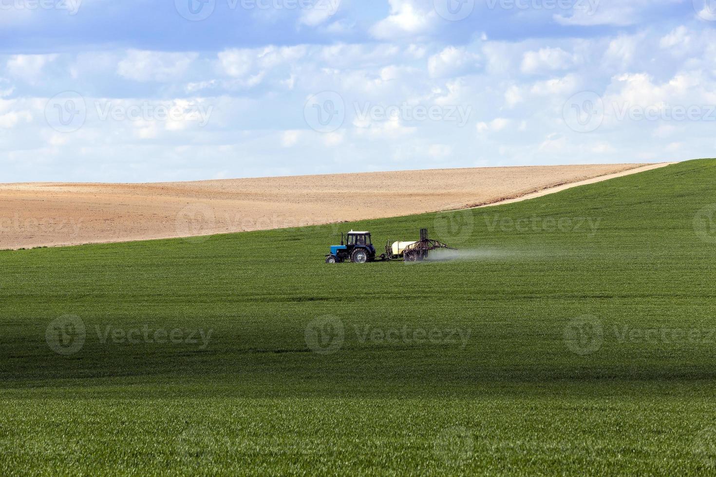 processamento de cereais foto