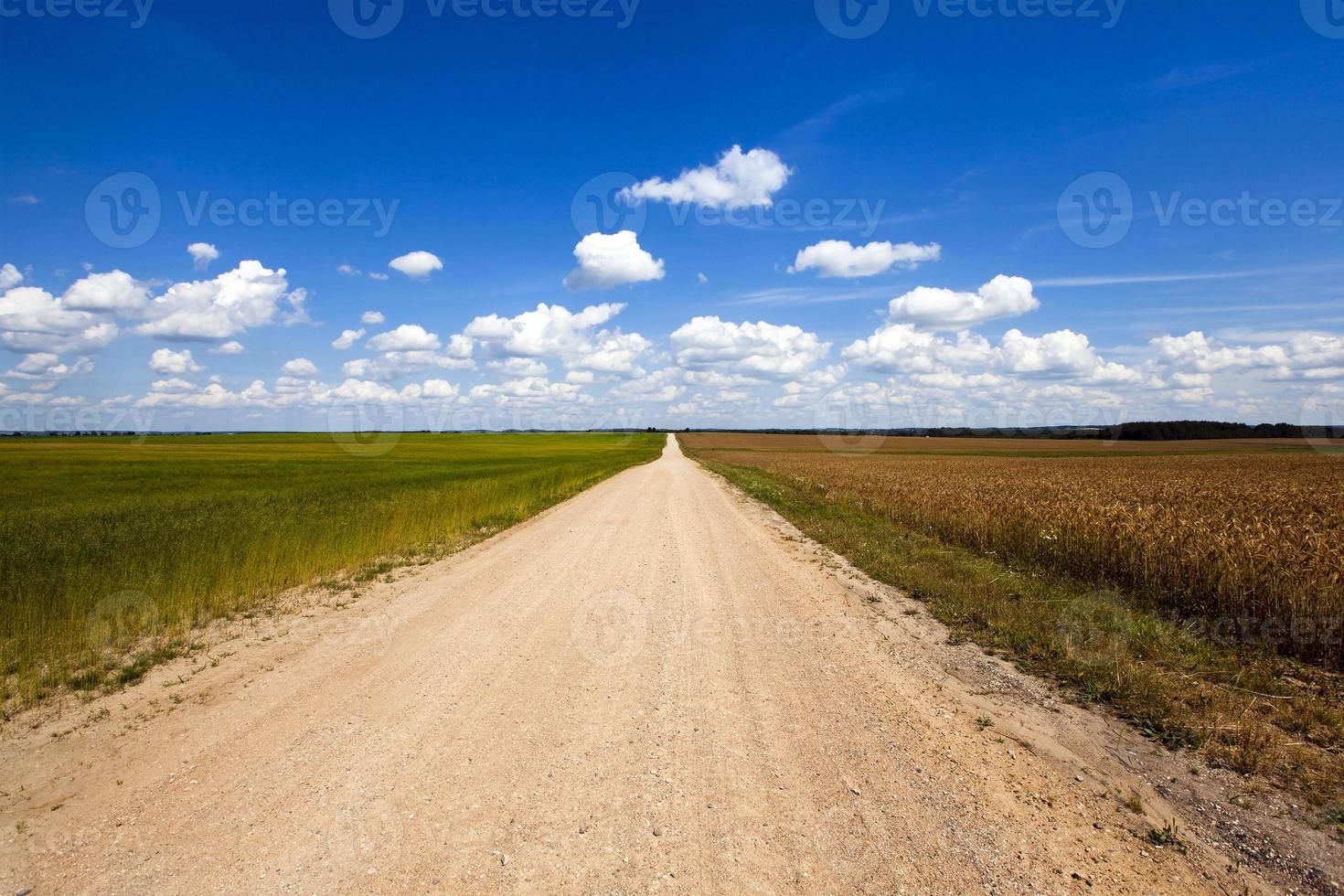 a estrada rural foto