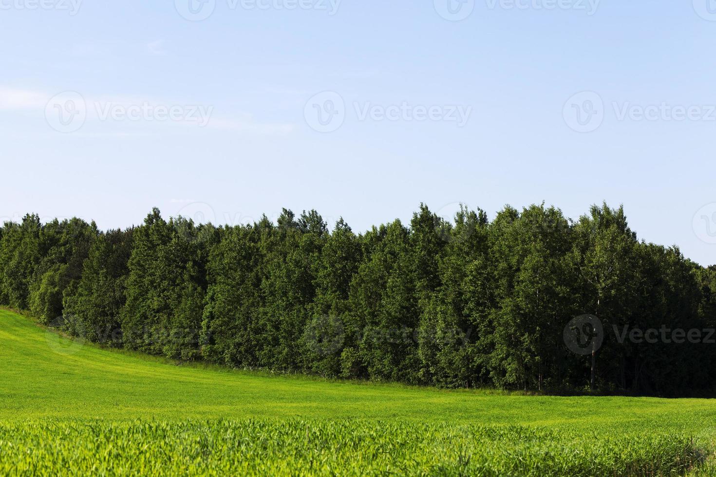 área montanhosa em um campo agrícola foto