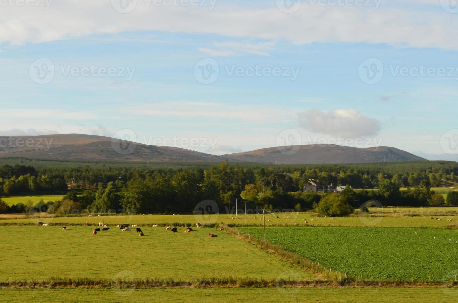 bela vista das montanhas cairngorm com campos foto