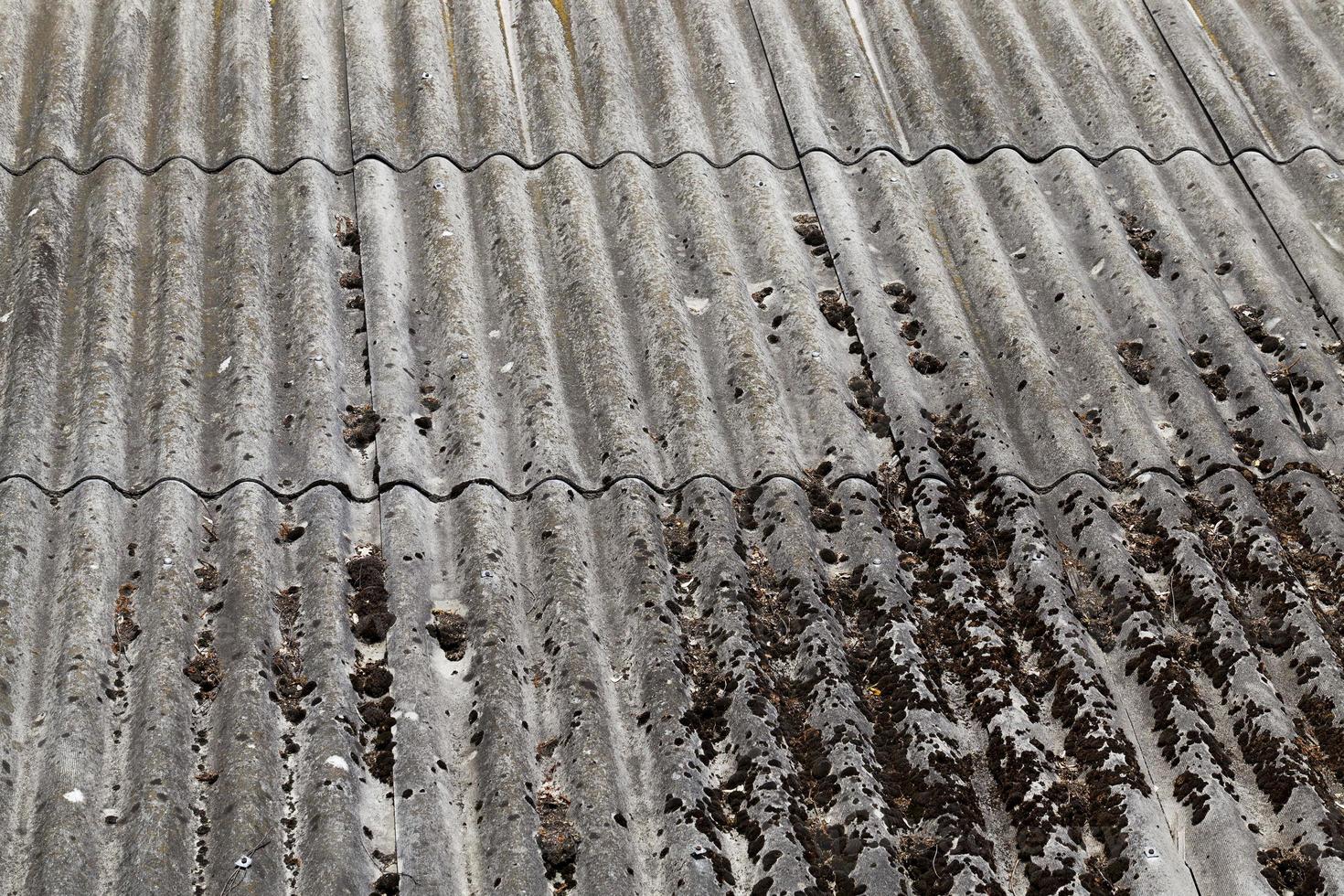 telhado de ardósia, close-up foto