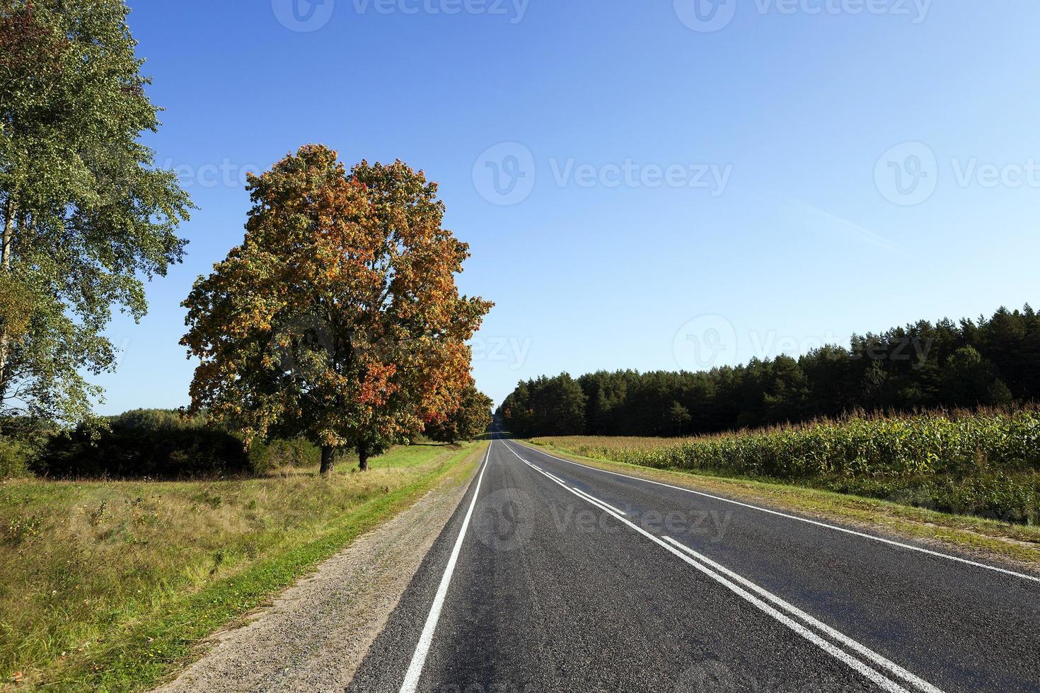 passando por uma estrada de asfalto vazia foto