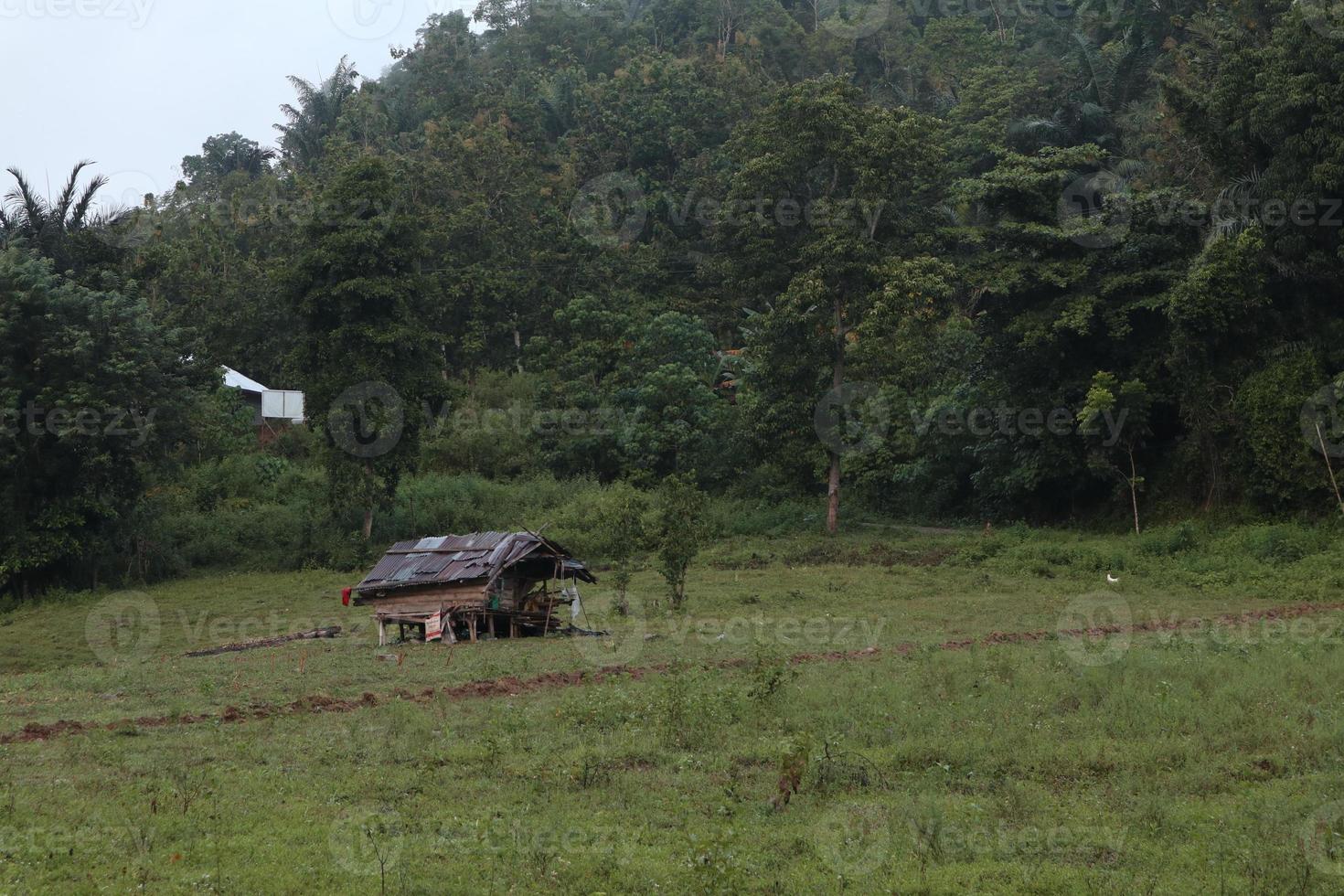 casa velha na floresta foto