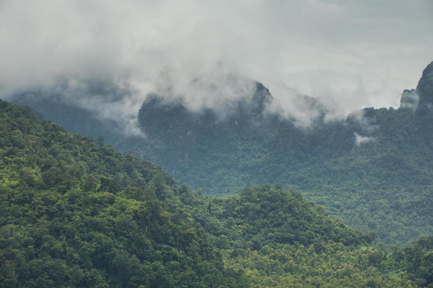 belas paisagens montanhosas, floresta e neblina foto