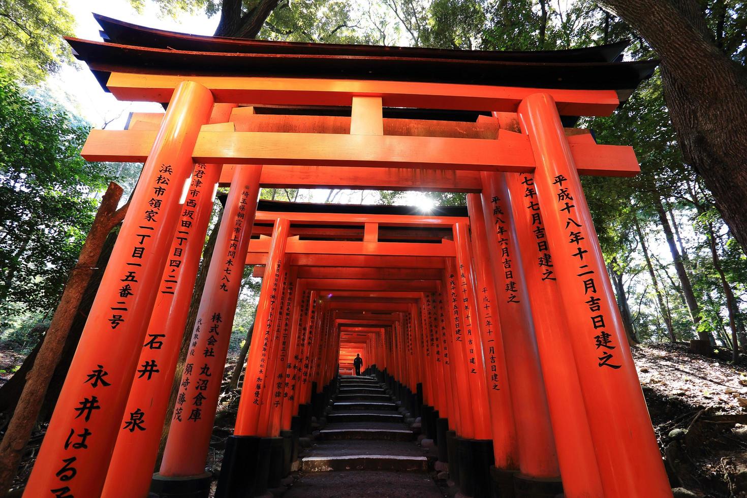 santuário fushimi inari taisha em kyoto, japão foto