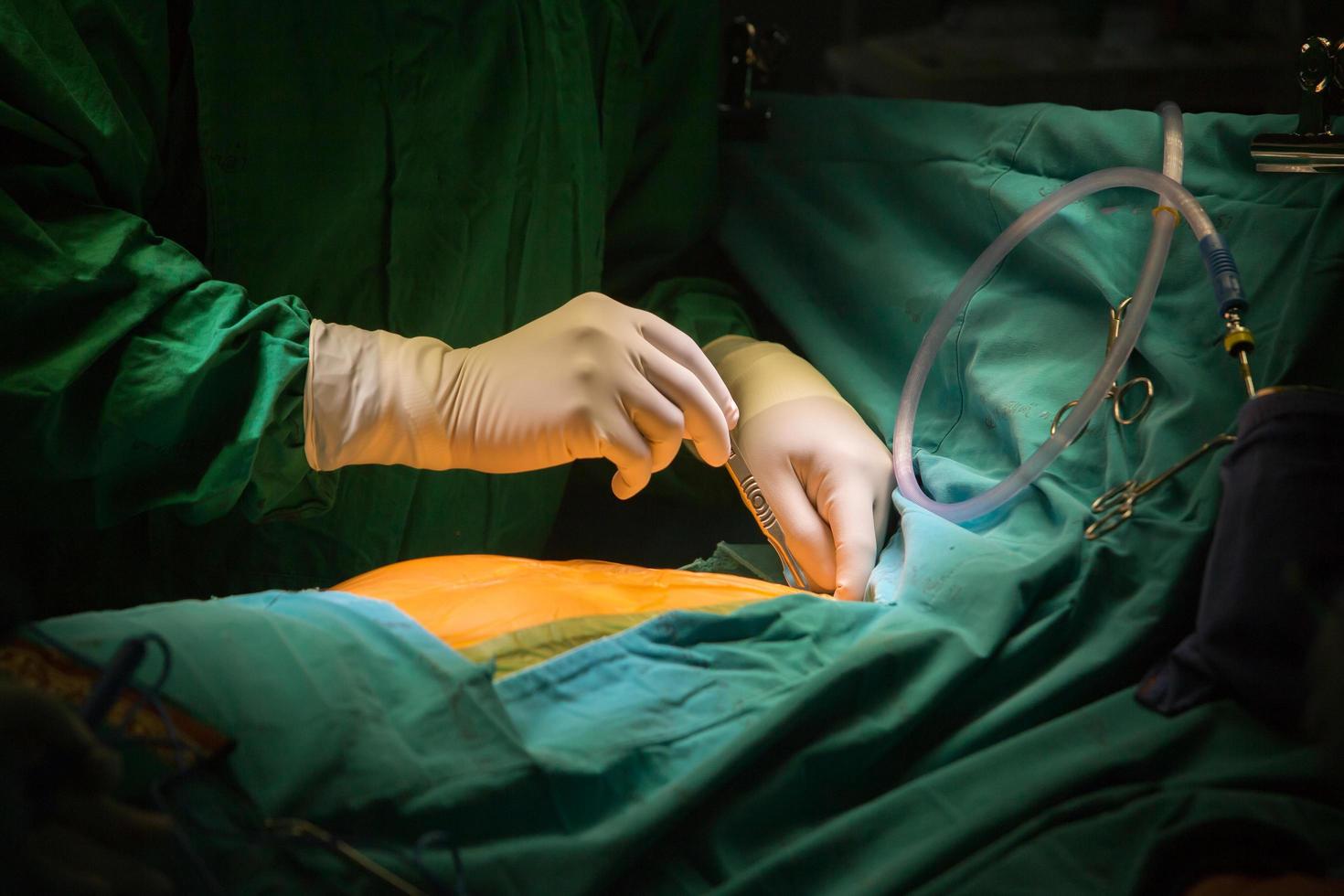 sutura fechar incisão de esternotomia foto
