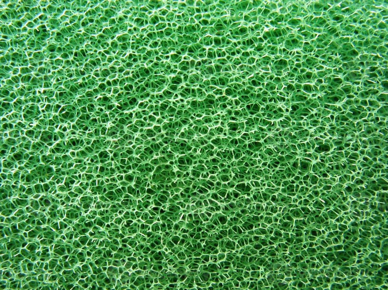 close-up de textura de esponja verde foto