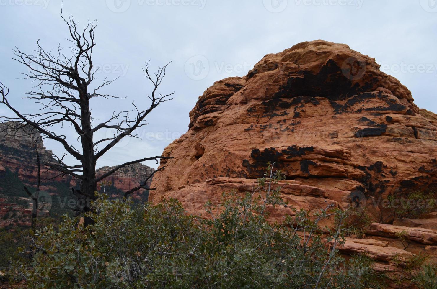 árvore em silhueta e uma formação rochosa vermelha foto